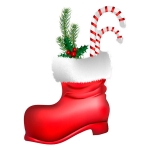 Santas boot - christmas sessions