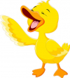 baby ducks 3