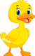 baby ducks 1