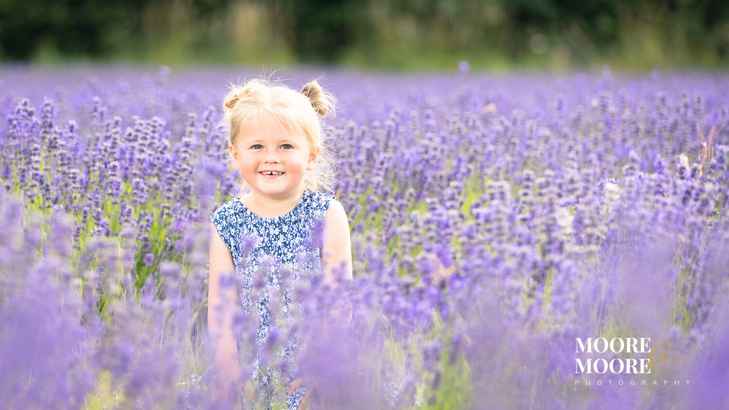 lavender-fields-photoshoot-moore-moore-photography-01-2414-copy lavender field summer photoshoots in hampshire