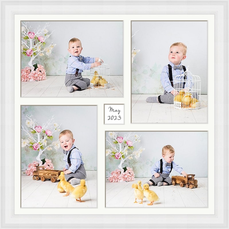 Baby Ducks Children's Portrait Artwork Framed Collage