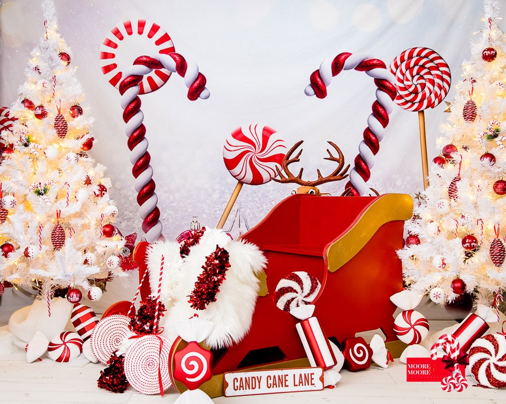 sleigh ride and candy-cane-lane-christmas-portraits