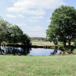 Spring landscape with pond and trees in Fleet Hampshire during a family portrait session