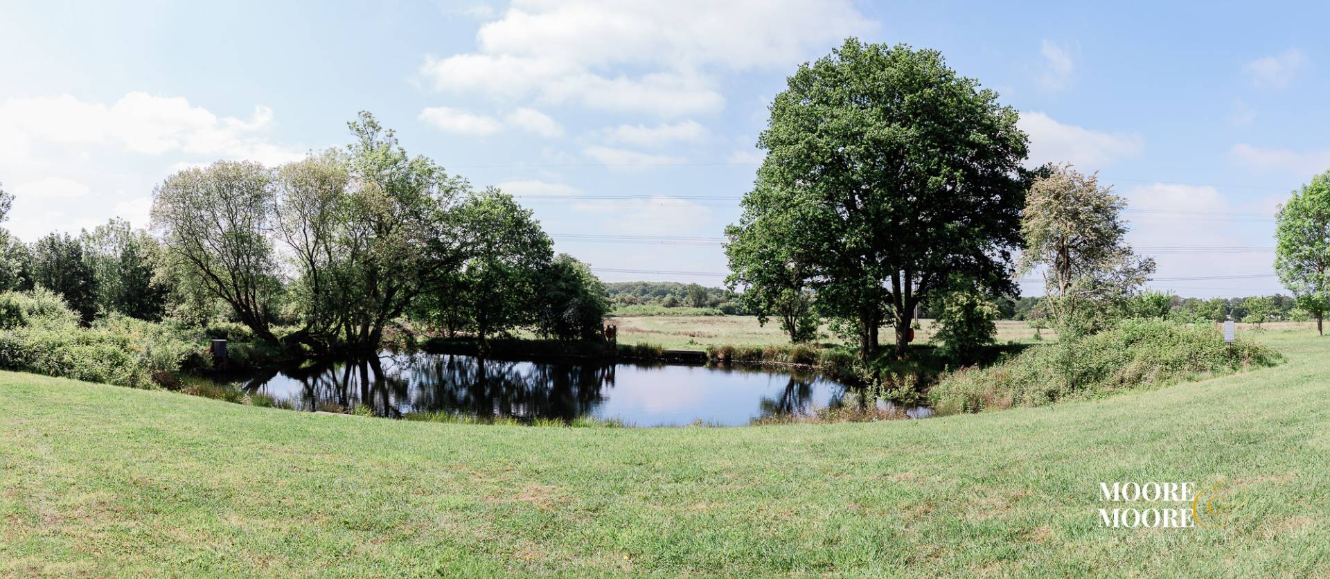 Spring landscape with pond and trees in Fleet Hampshire during a family portrait session